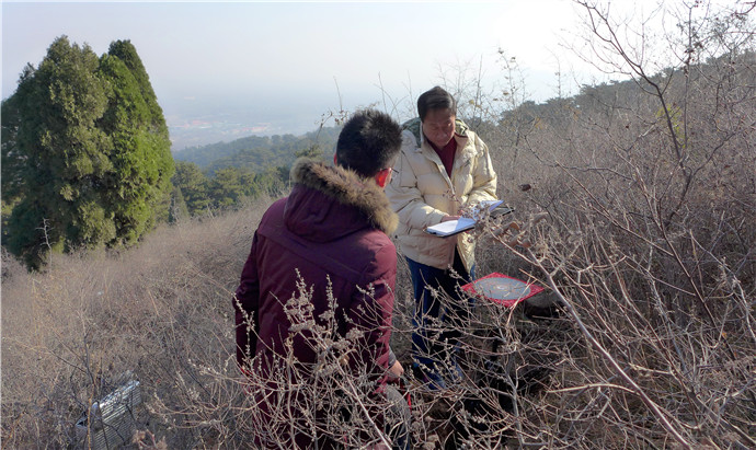 鹿鼎策劃王鳳麟道家陰盤奇門遁甲山向奇門種生基